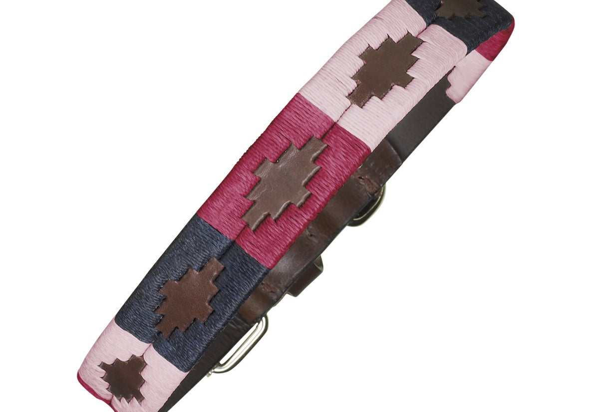 Stylish dogs wear pampeano