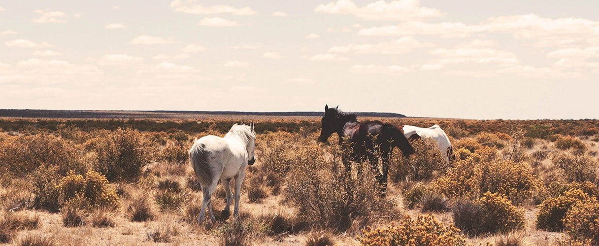Be inspired by the mystery of a South American paradise