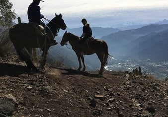 Argentinian Malbec - a lesser known Andes resident