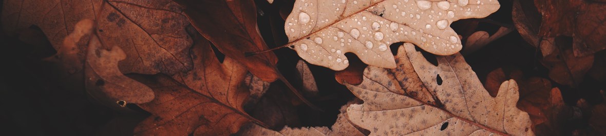 Inspiration for Autumn 2018