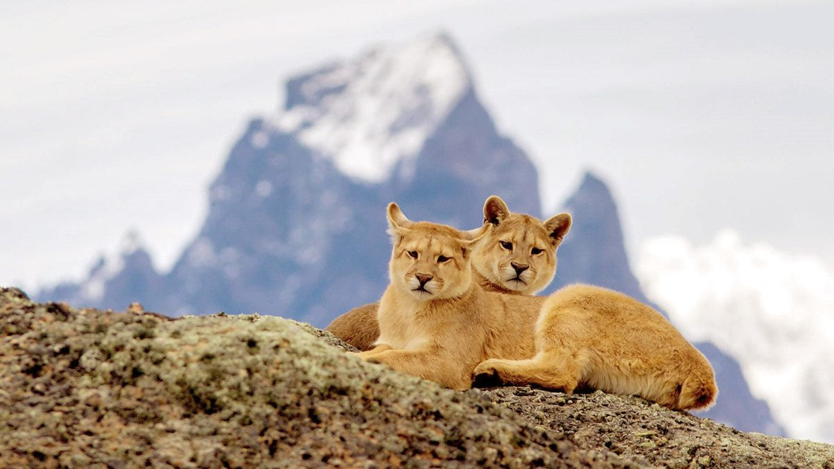 5 Reasons to Visit Patagonia