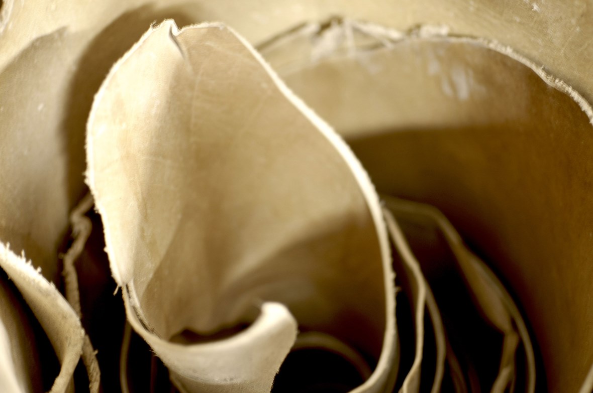 pampeano and the planet