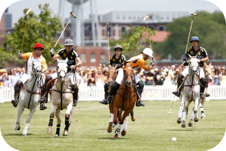 people on horses playing polo