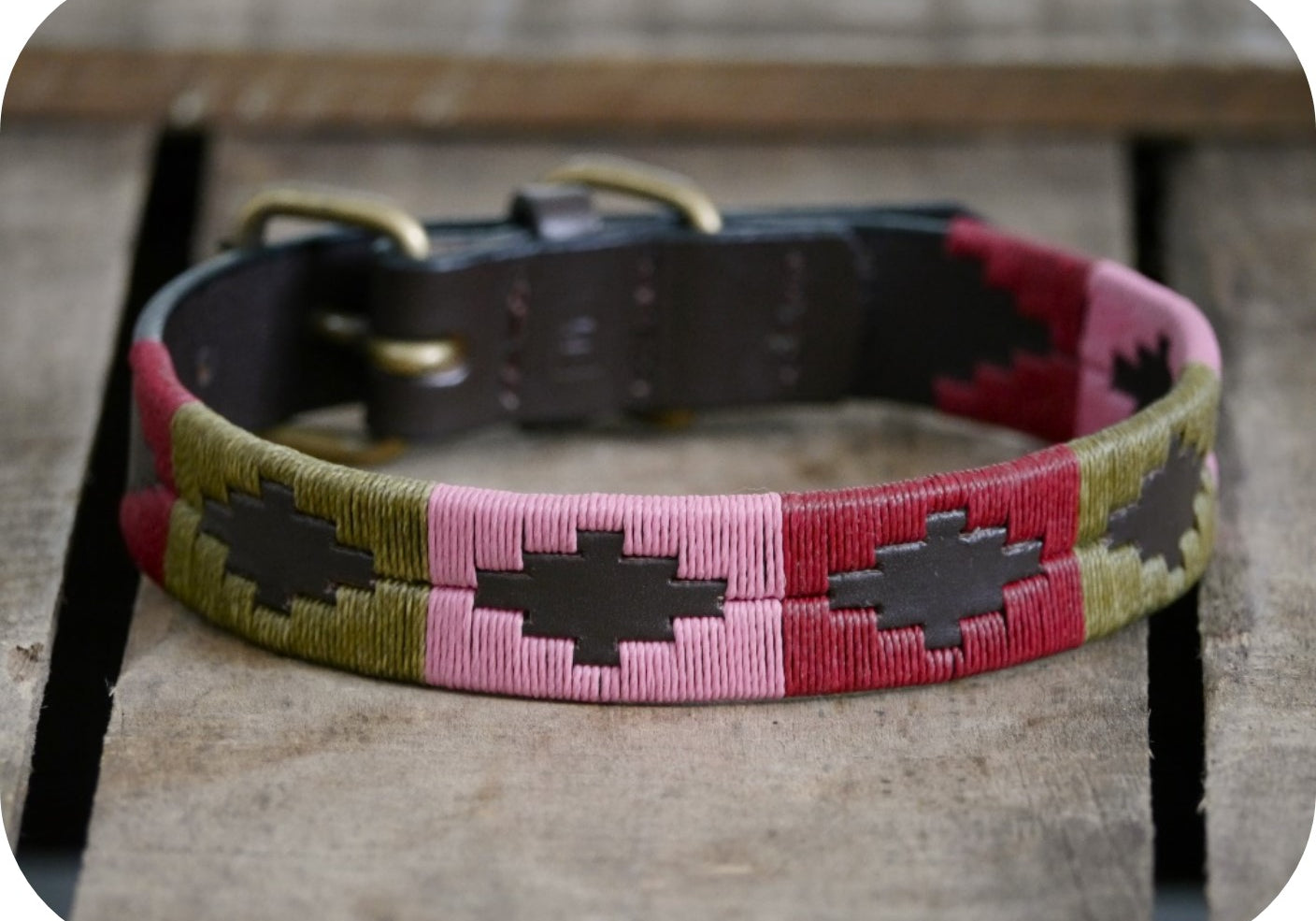 dog collar on wooden box