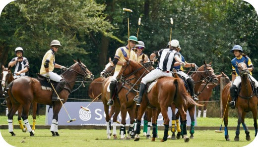 Polo Culture’s Influence: How the Sport Shaped Designs, Colours, and Brands