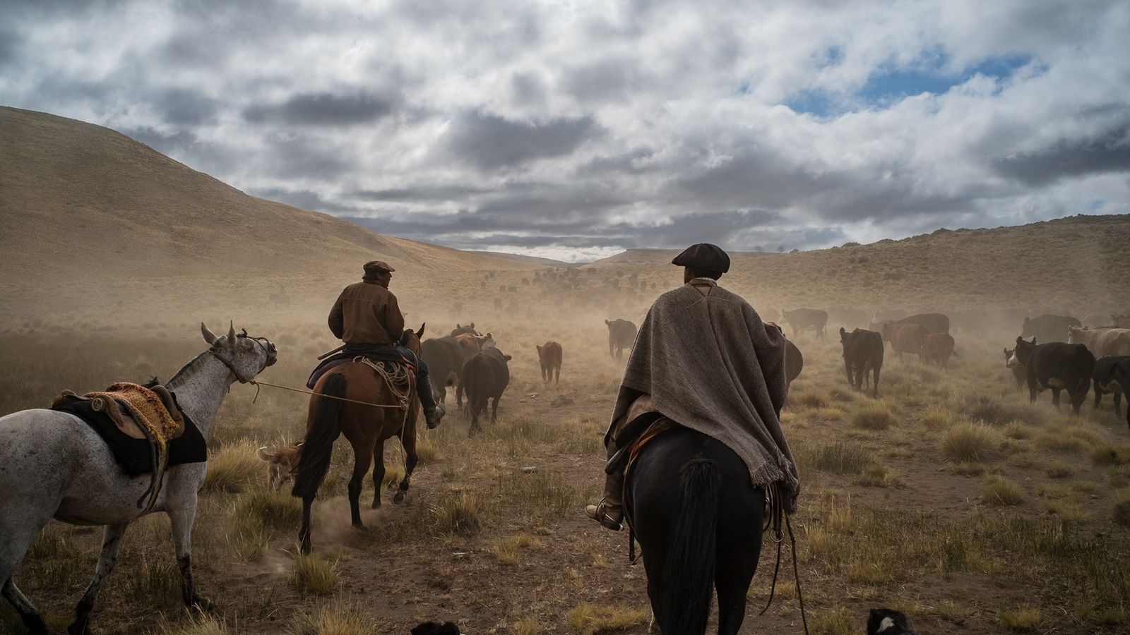 What is gaucho leather?