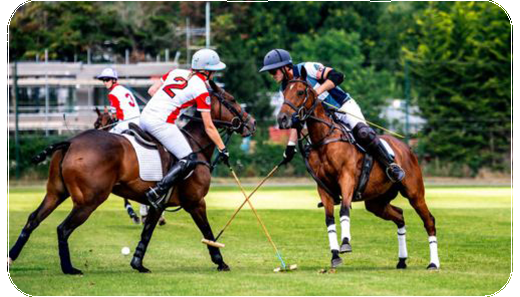 pampeano at Sportingclass Polo Day 2025: A Celebration of Heritage, Style, and Sport