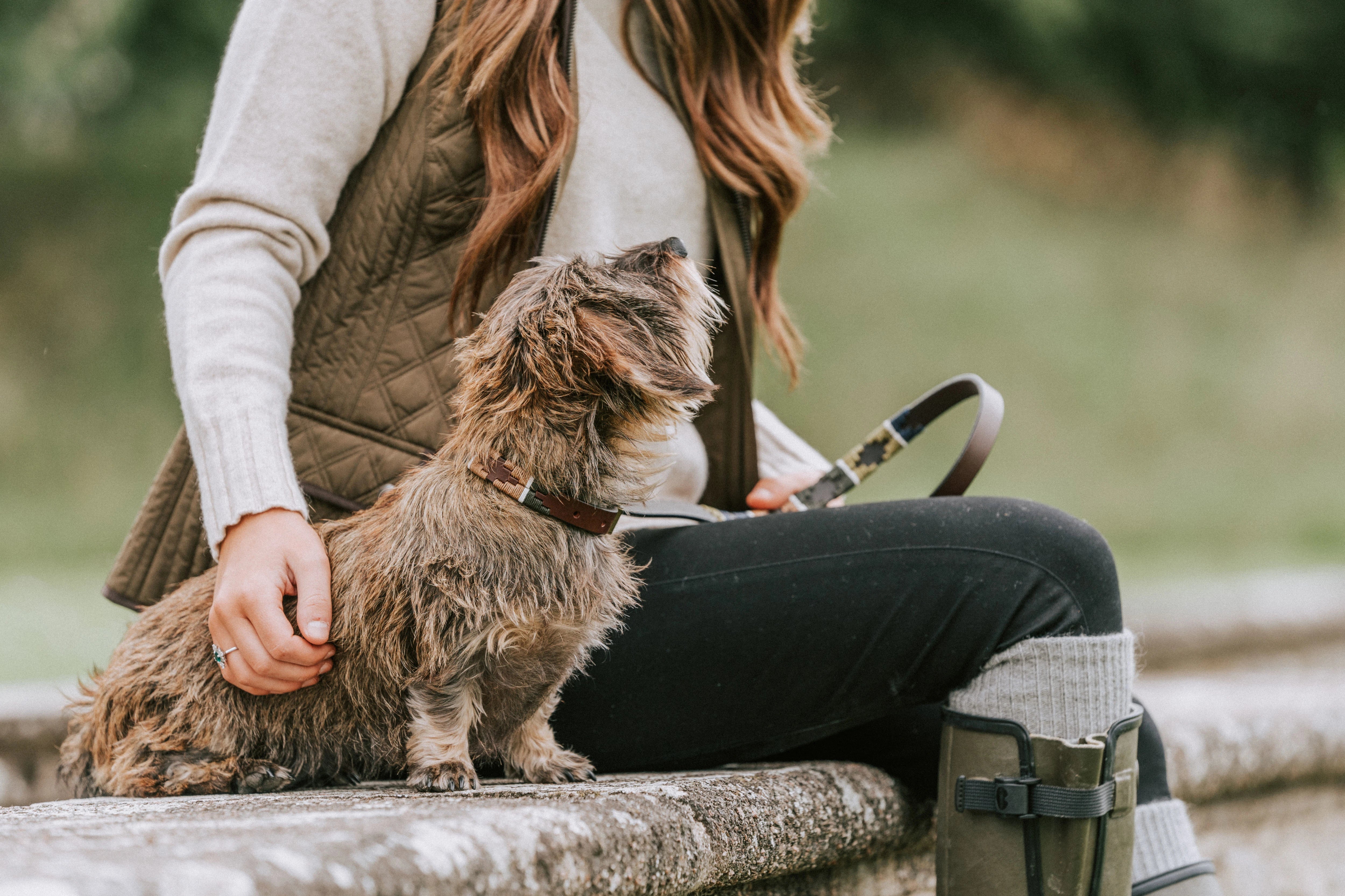 Shop All Pets Accessories