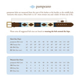 pampeano belt - Nieve