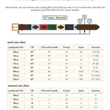 Confianza pampeano Belt - Tan Suede