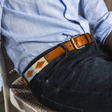 pampeano Belt - Desierto