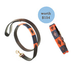 Any Leather Dog Collar and Lead