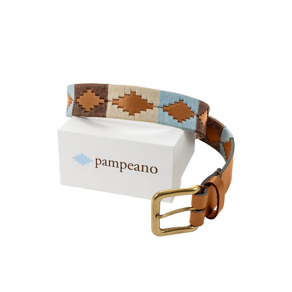 pampeano belt - Desierto