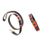 Any Leather Dog Collar and Lead