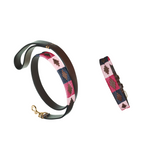 Any Leather Dog Collar and Lead