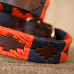 Dog Collar - 'Audaz' - pampeano UK