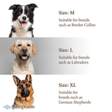 Any Leather Dog Collar and Lead