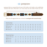 pampeano Belt - Roca