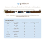 Choice of Any 2 Leather Dog Collars - Gift Package - pampeano UK